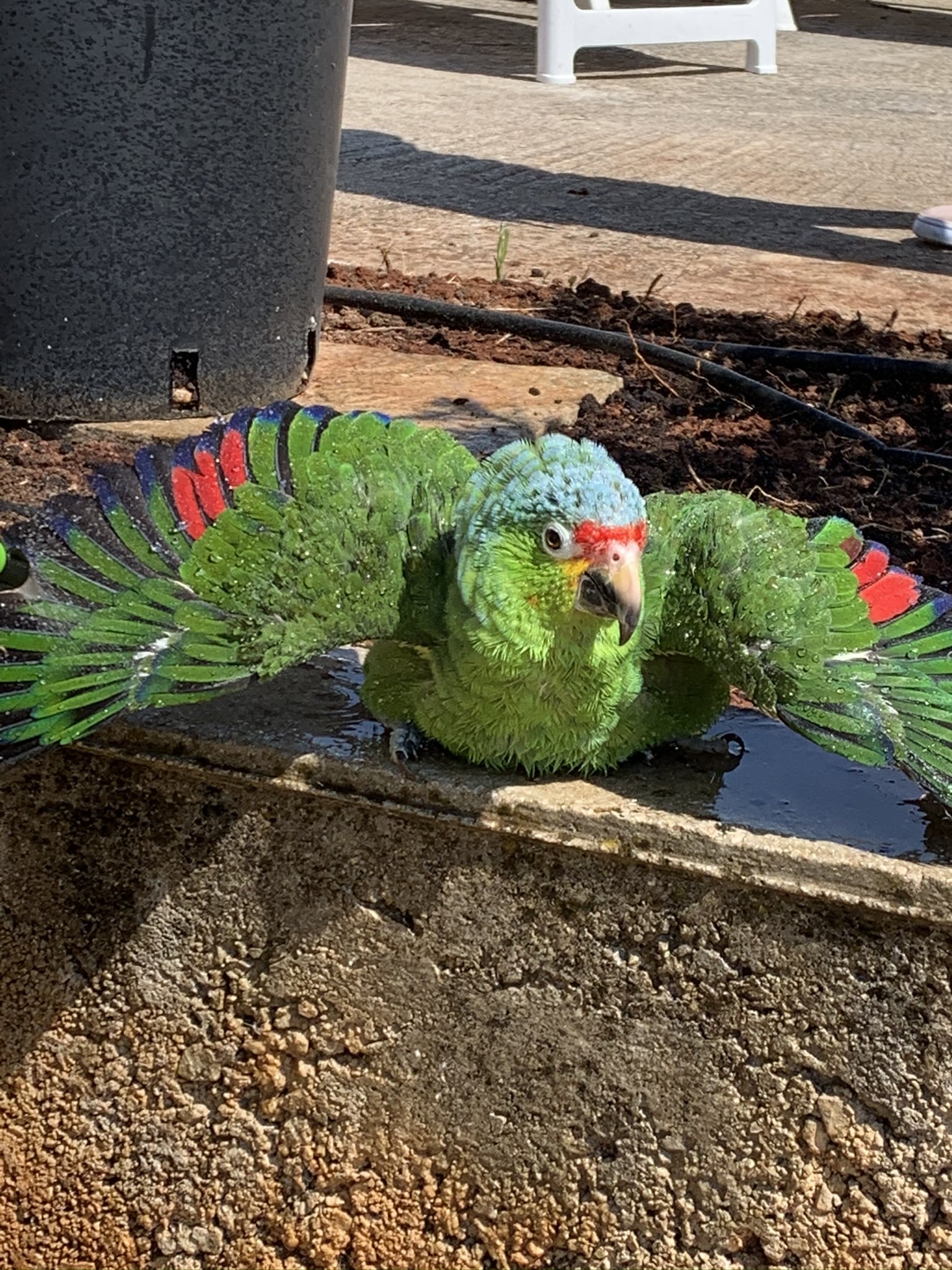 Melina Jurčić Melinadigital Foto