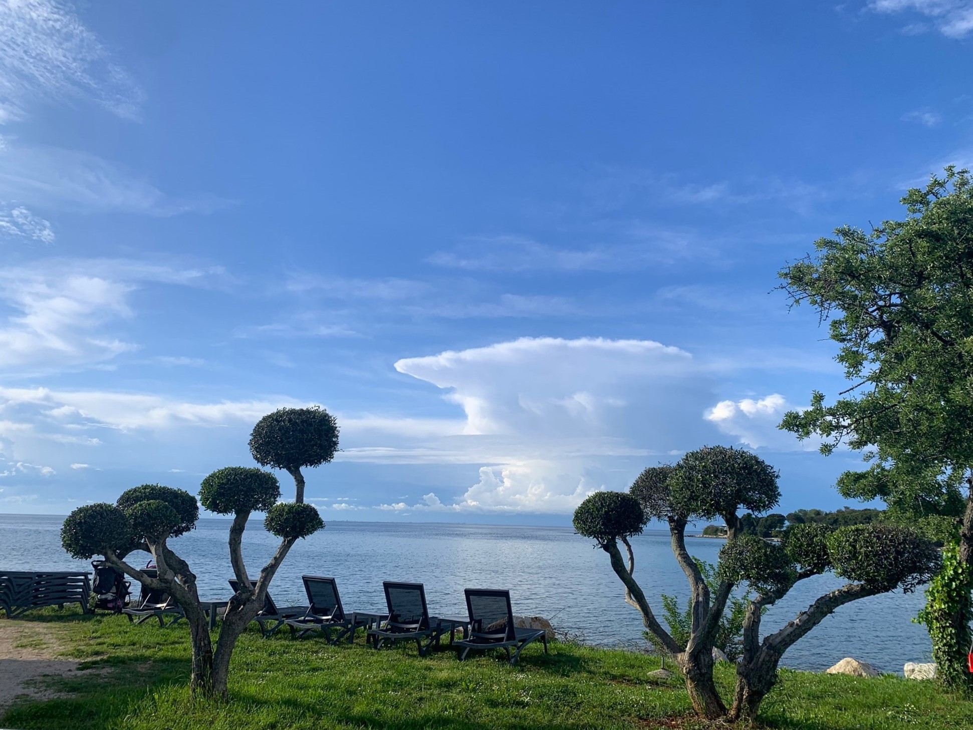 Melina Jurčić Melinadigital Foto