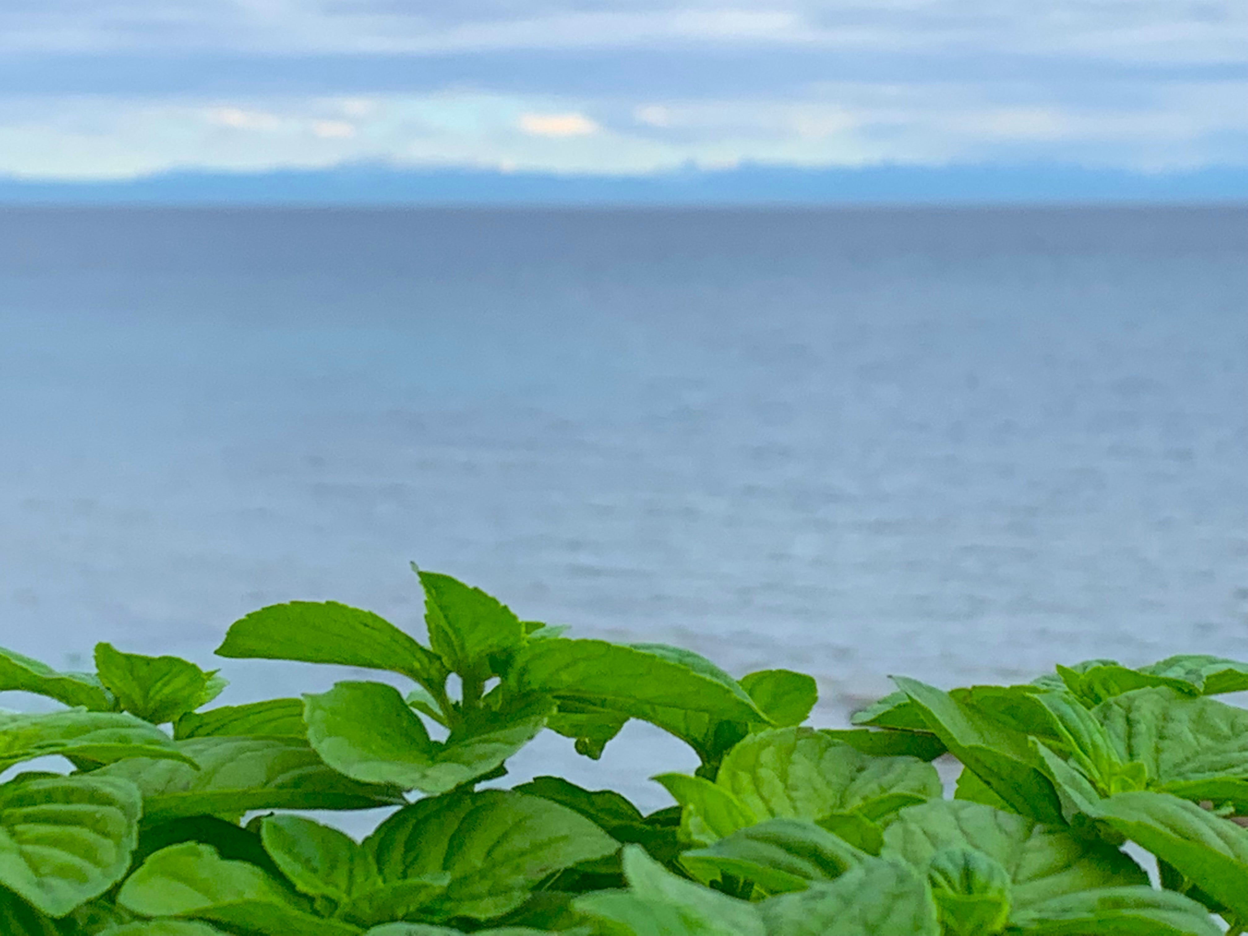 Melina Jurčić Melinadigital Foto