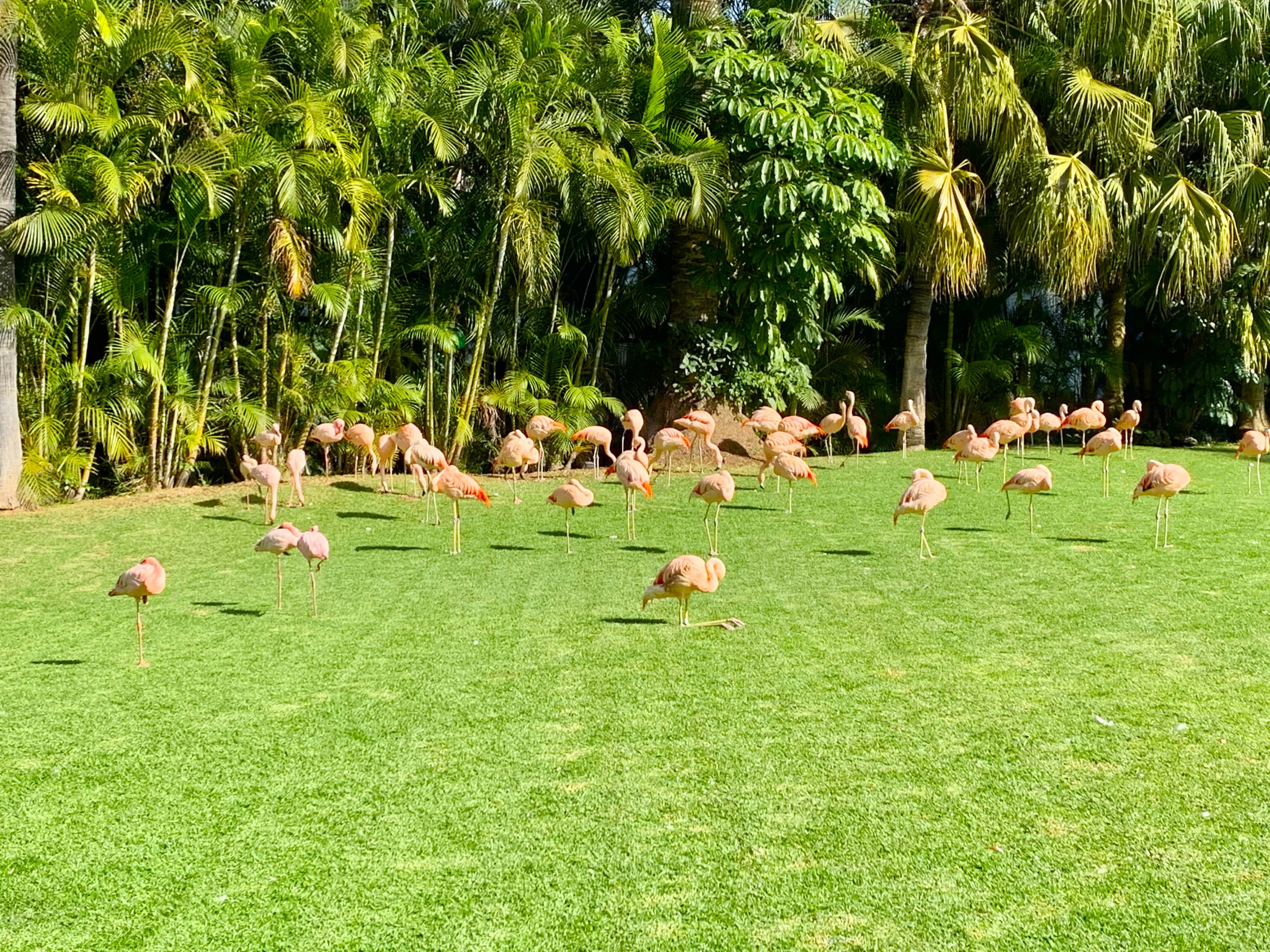 Melina Jurčić Melinadigital Foto