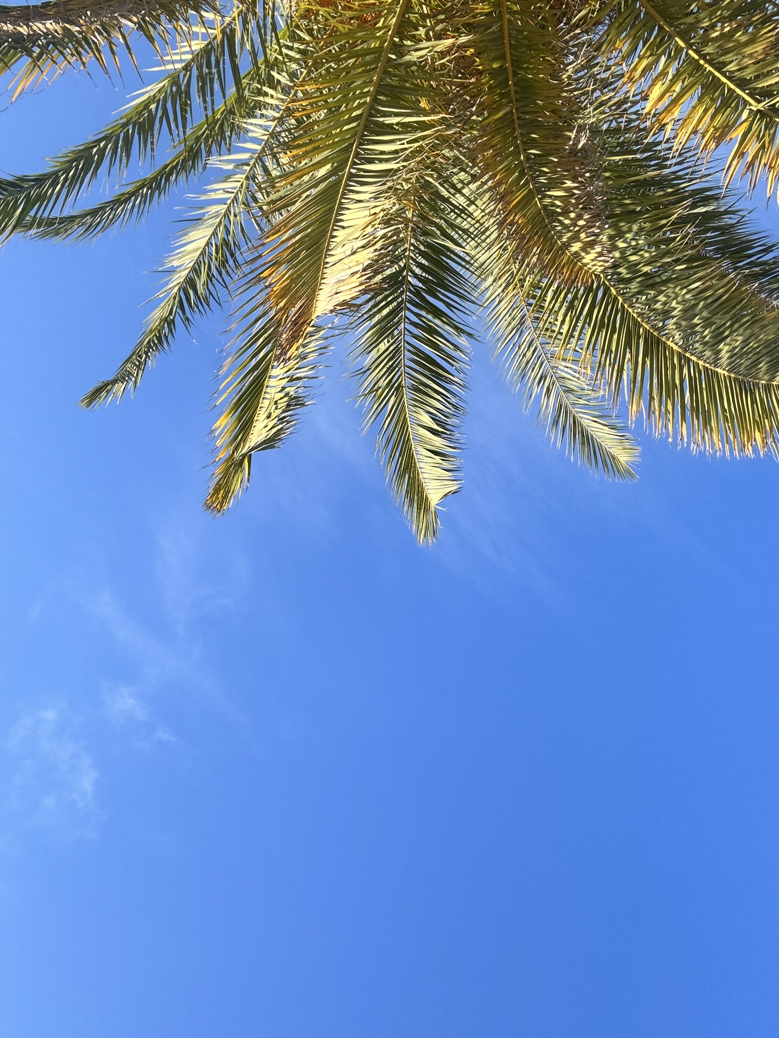 Melina Jurčić Melinadigital Foto