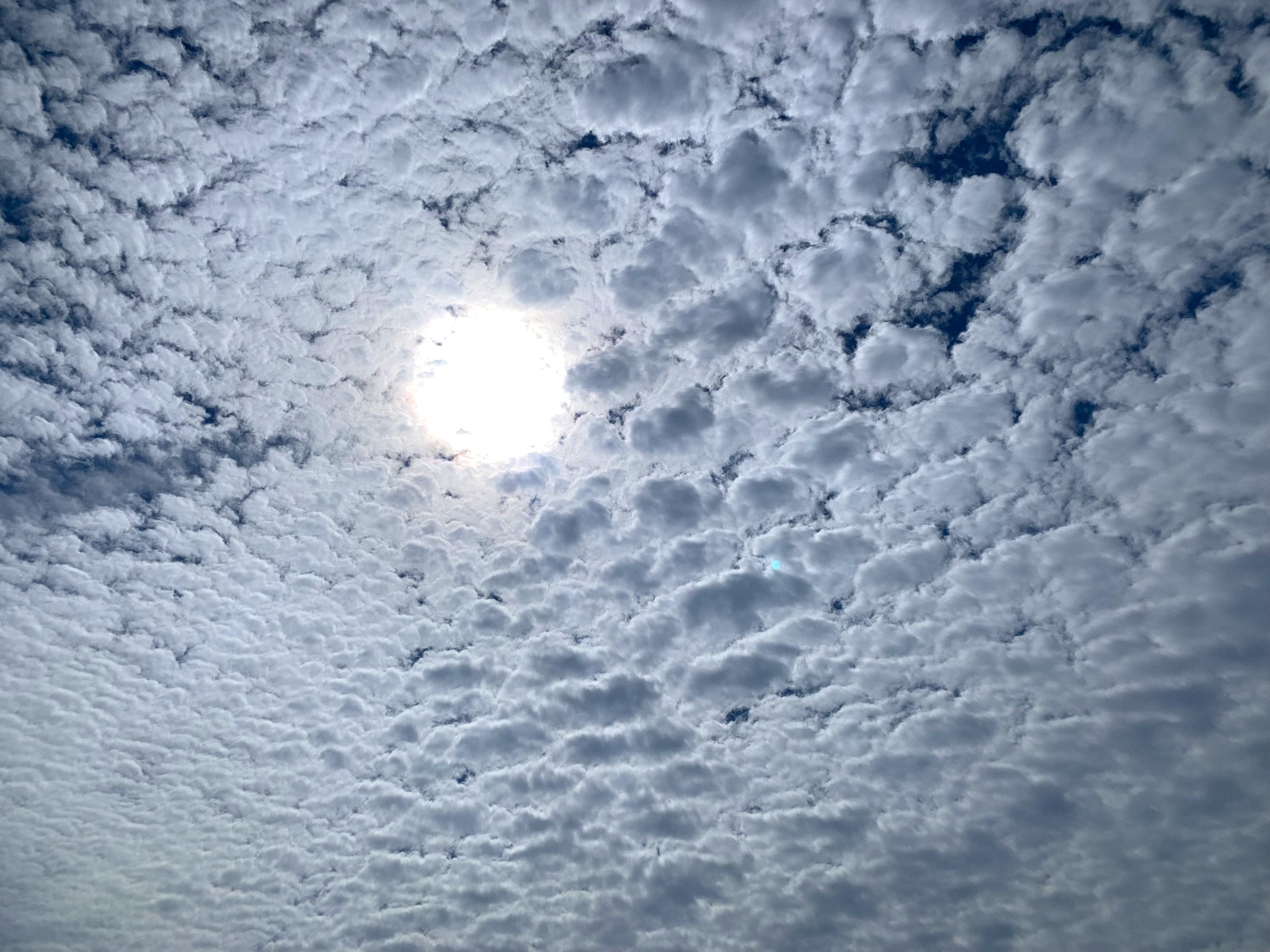 Melina Jurčić Melinadigital Foto