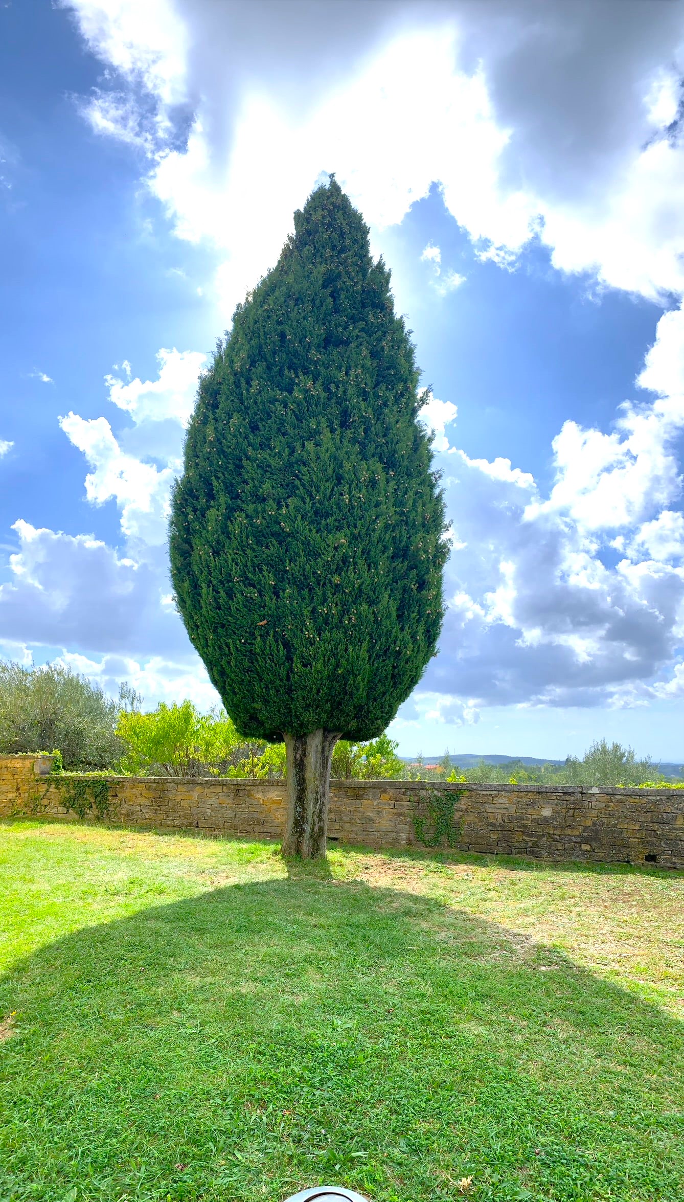 Melina Jurčić Melinadigital Foto