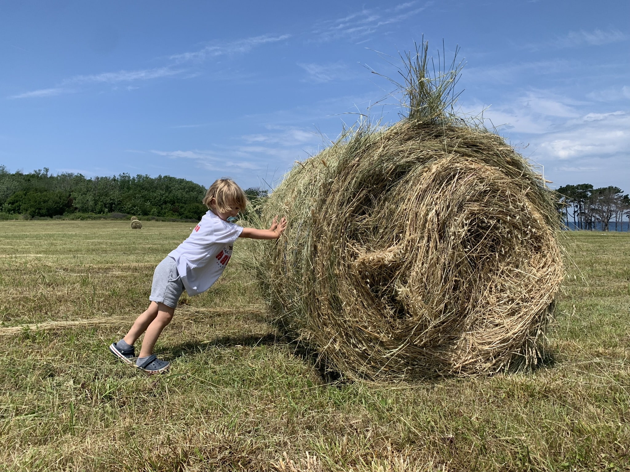 Melina Jurčić Melinadigital Foto