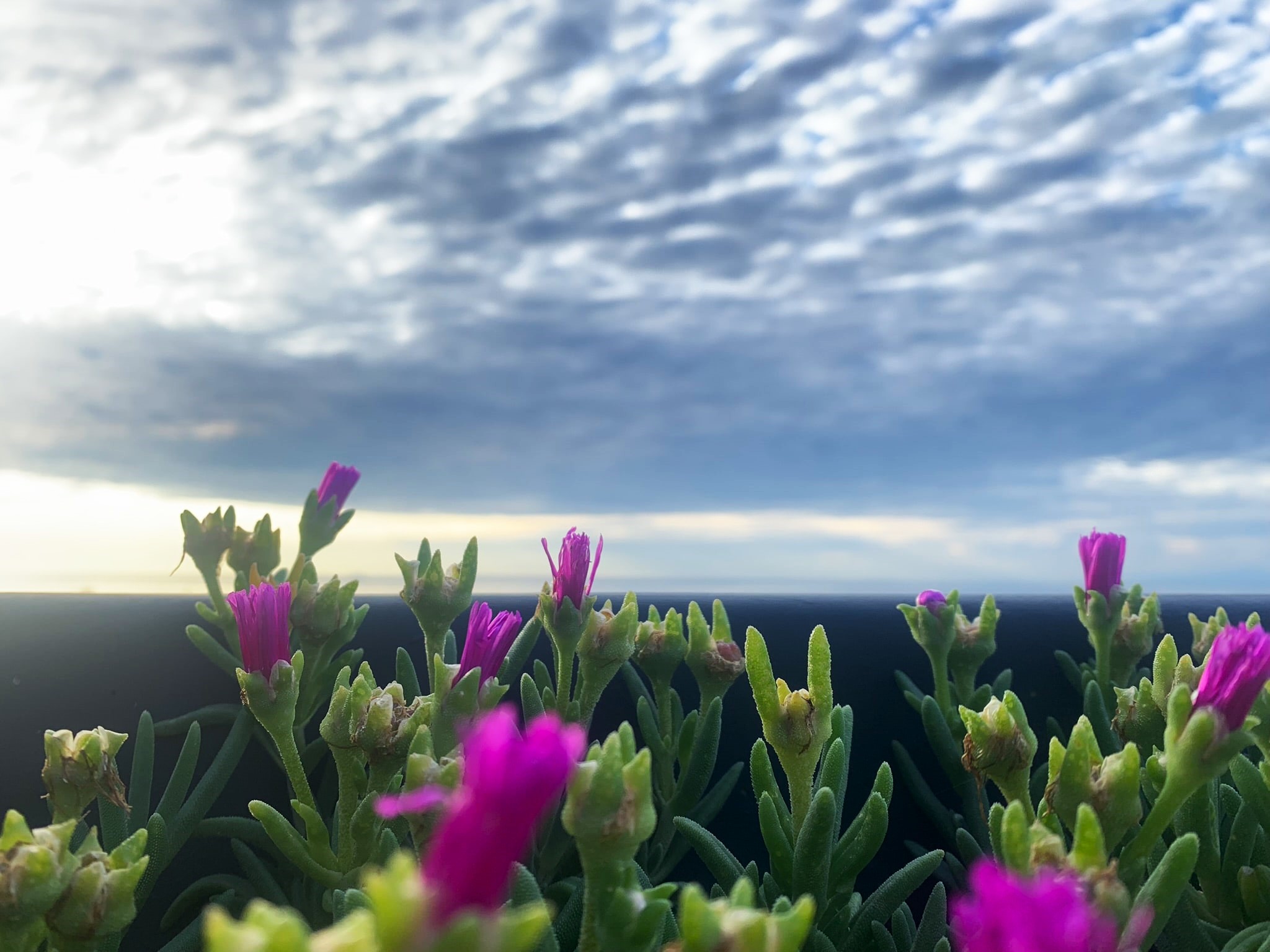 Melina Jurčić Melinadigital Foto