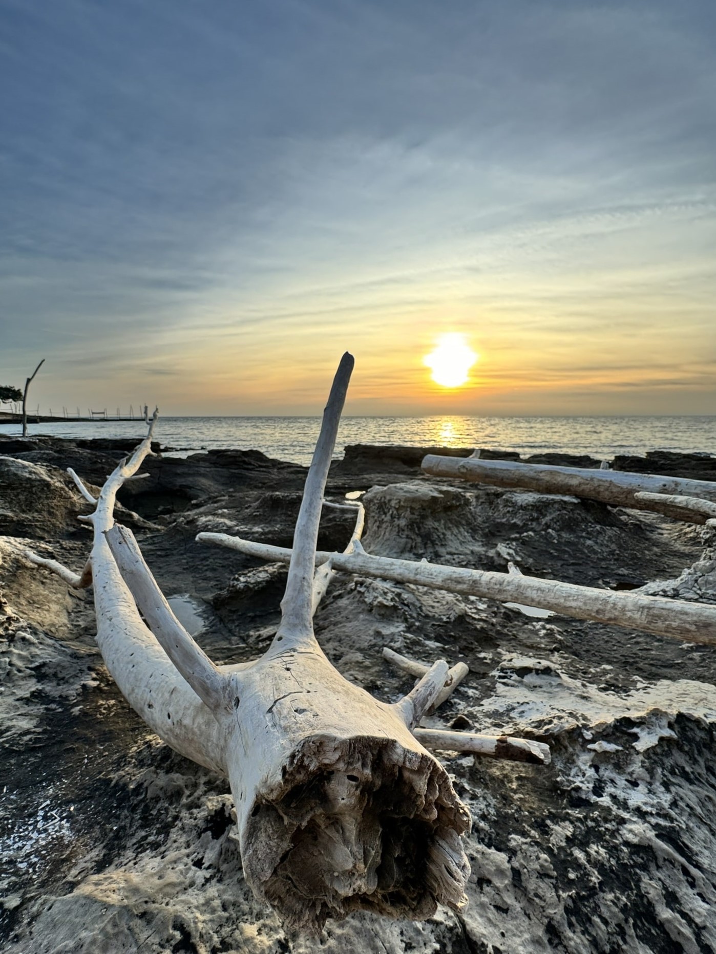 Melina Jurčić Melinadigital Foto