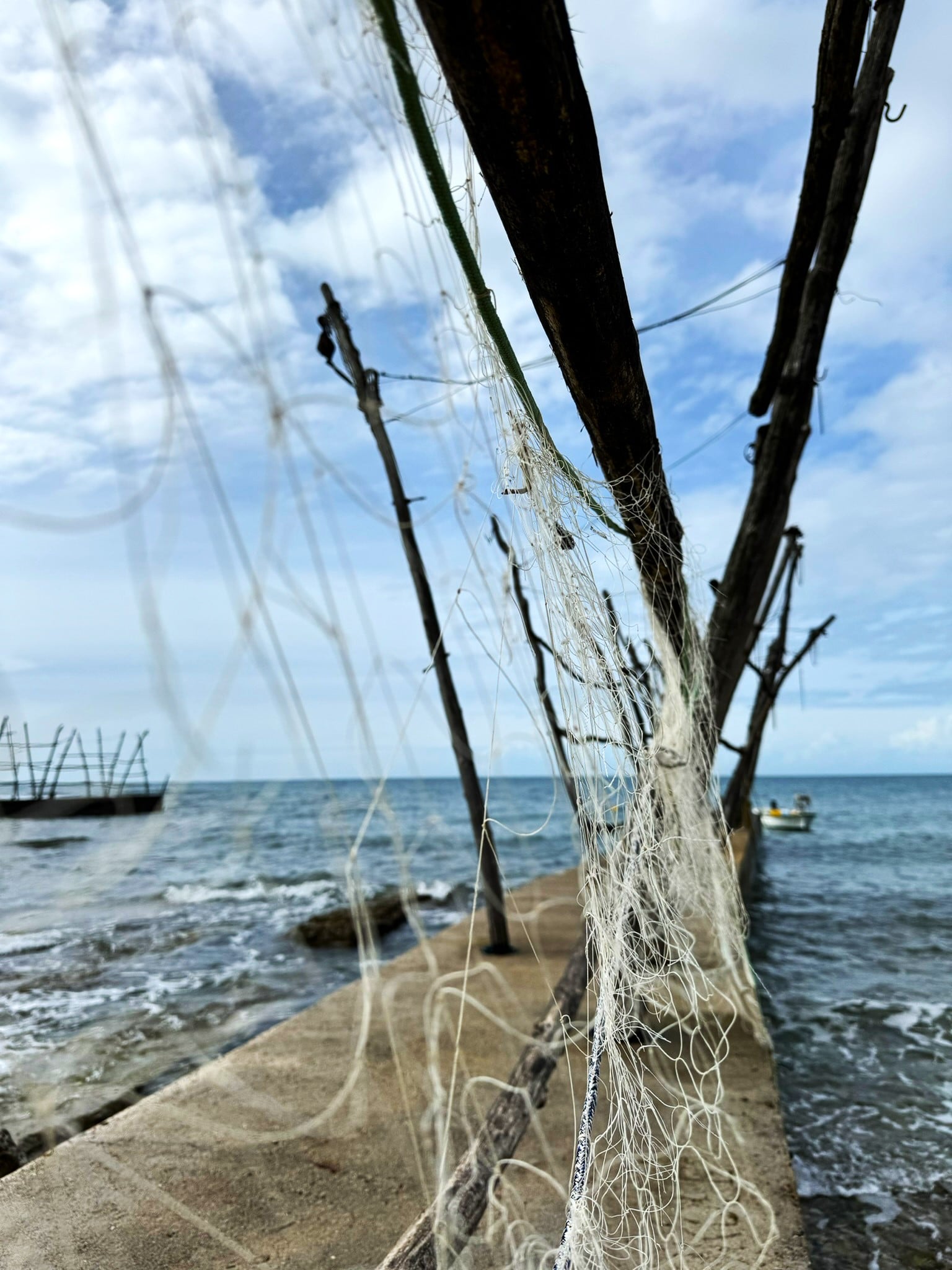 Melina Jurčić Melinadigital Foto