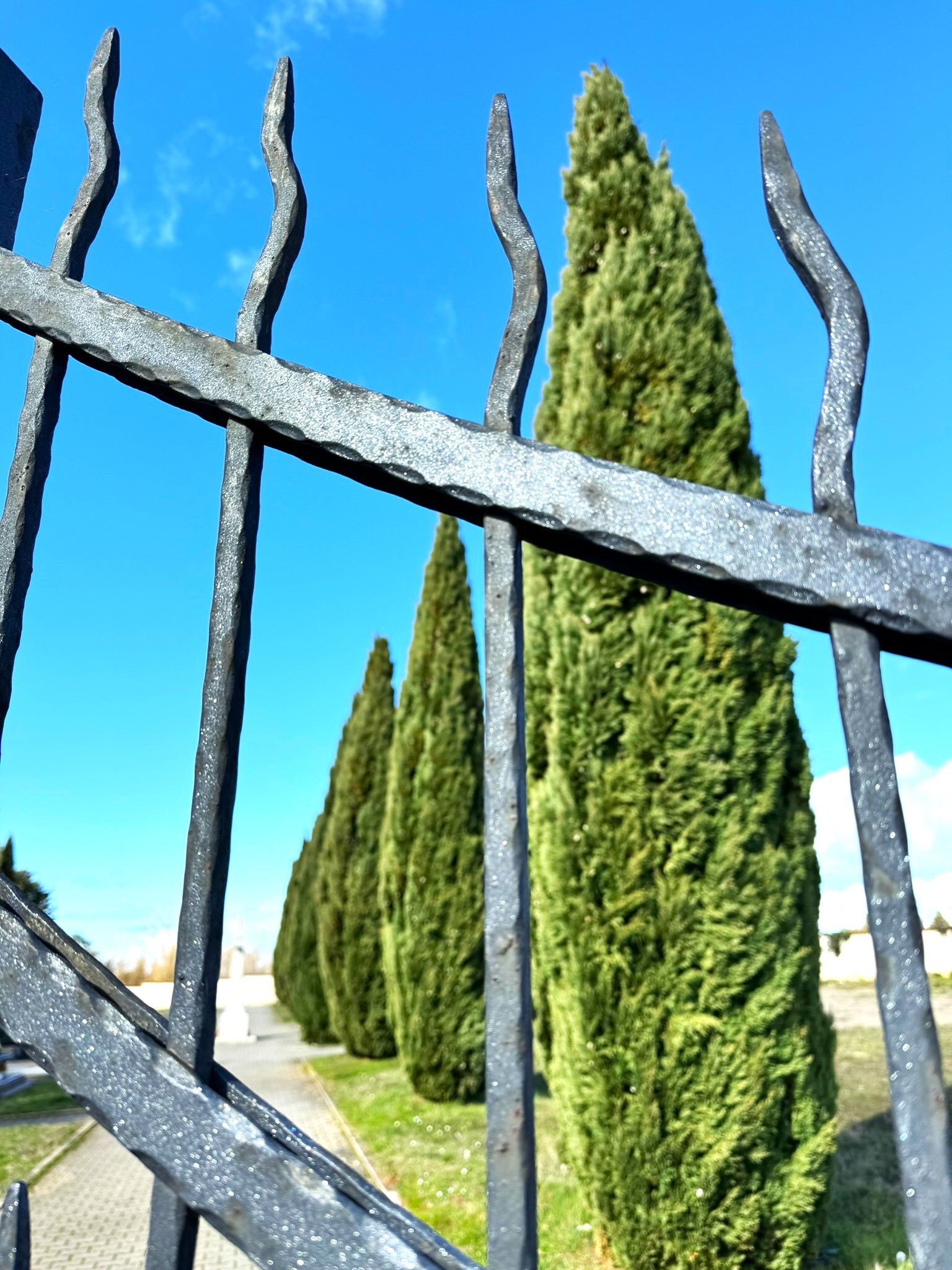 Melina Jurčić Melinadigital Foto