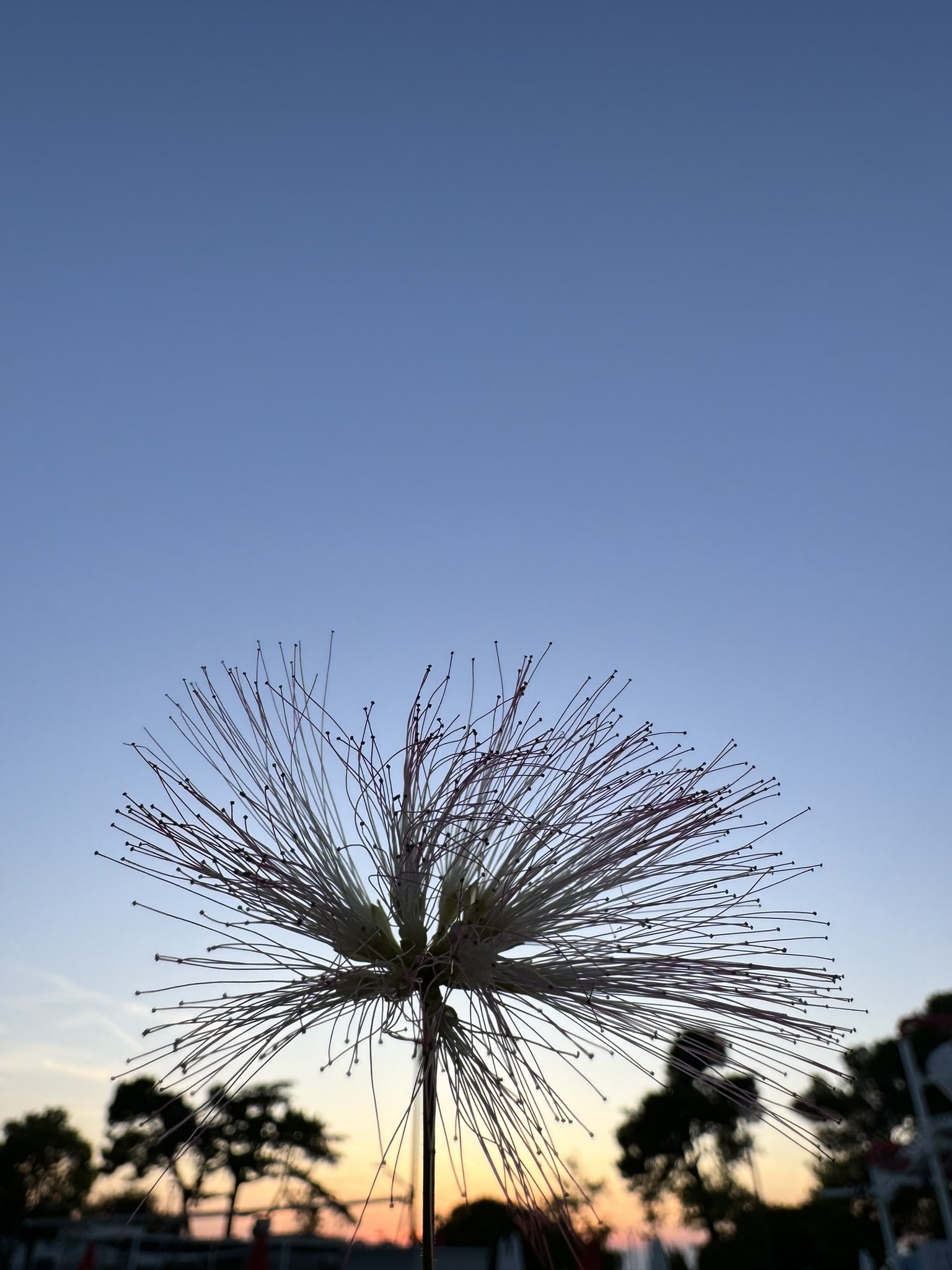 Melina Jurčić Melinadigital Foto
