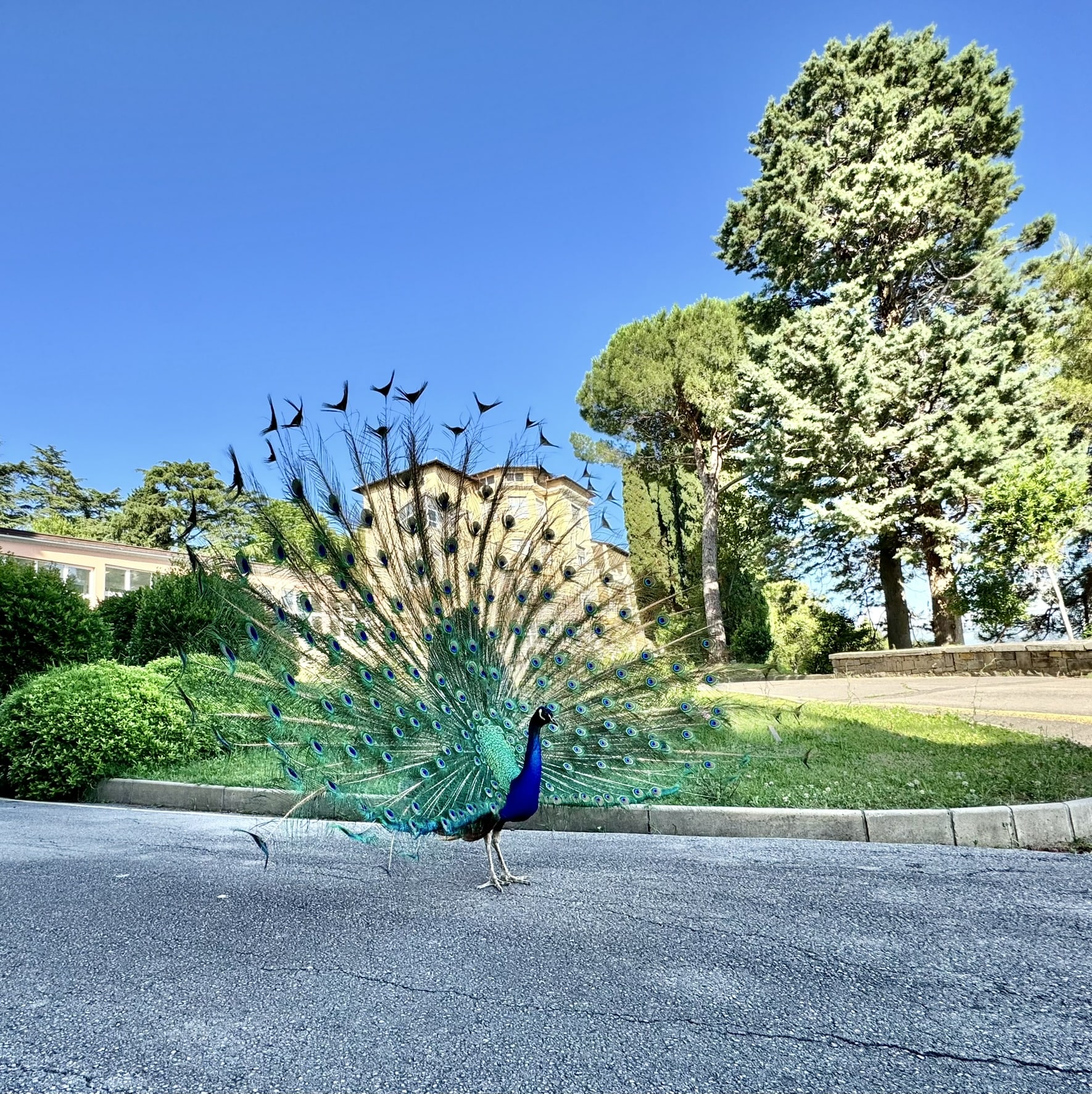 Melina Jurčić Melinadigital Foto