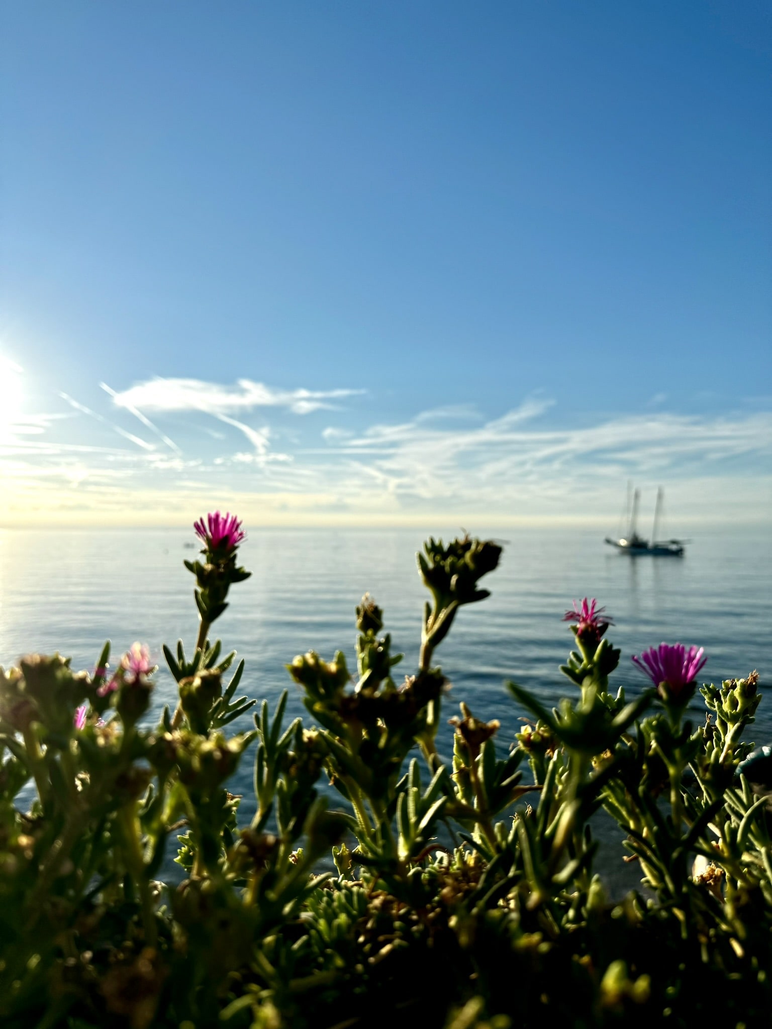 Melina Jurčić Melinadigital Foto