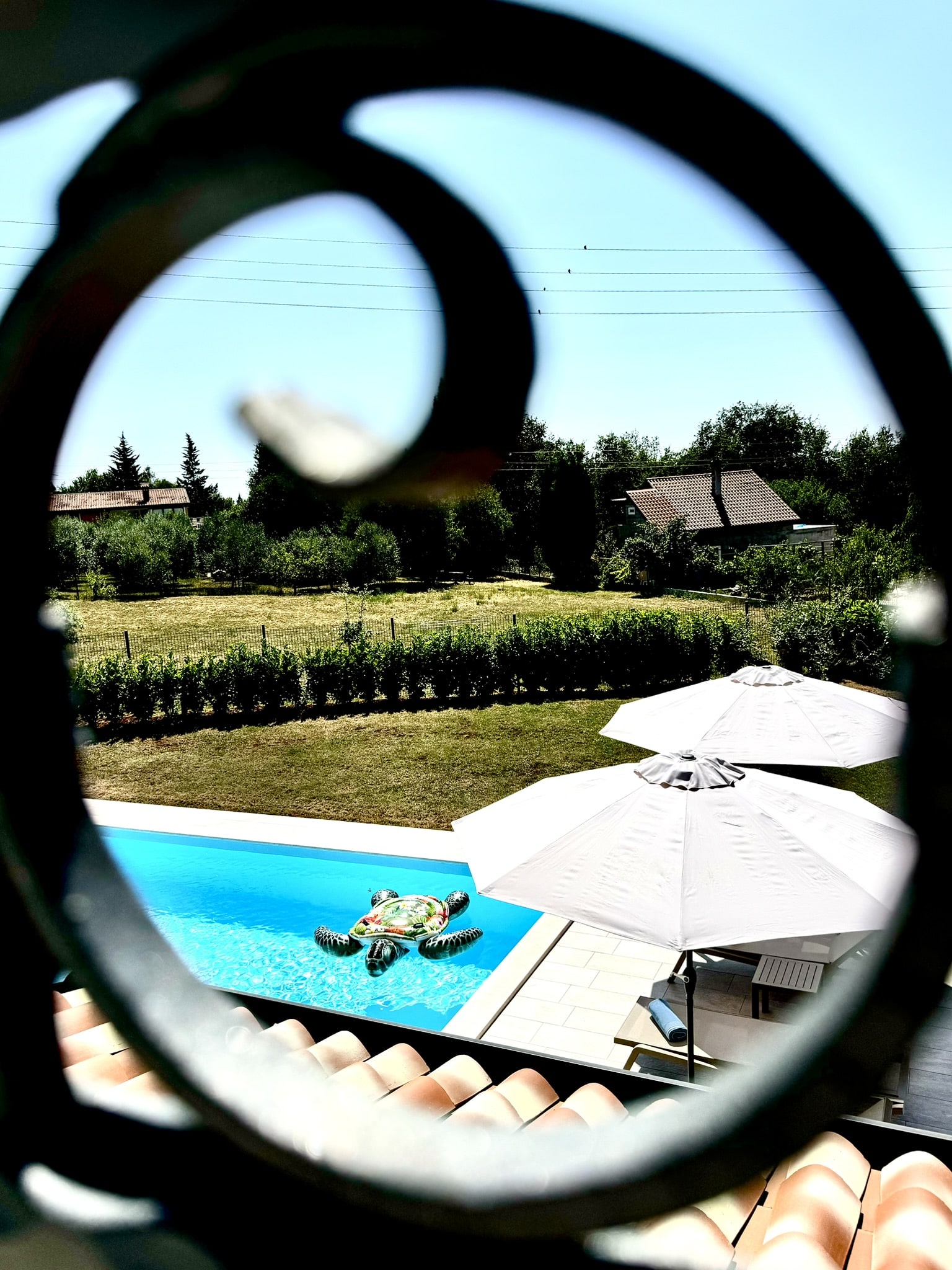 Melina Jurčić Melinadigital Foto