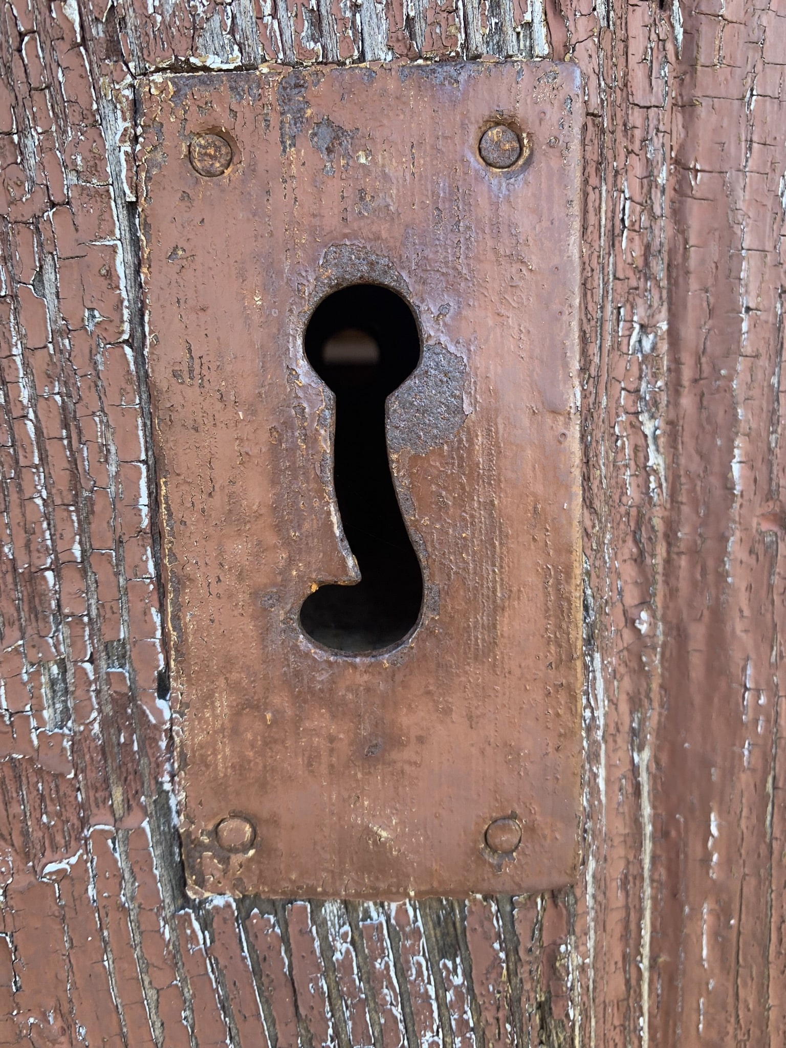 Melina Jurčić Melinadigital Foto