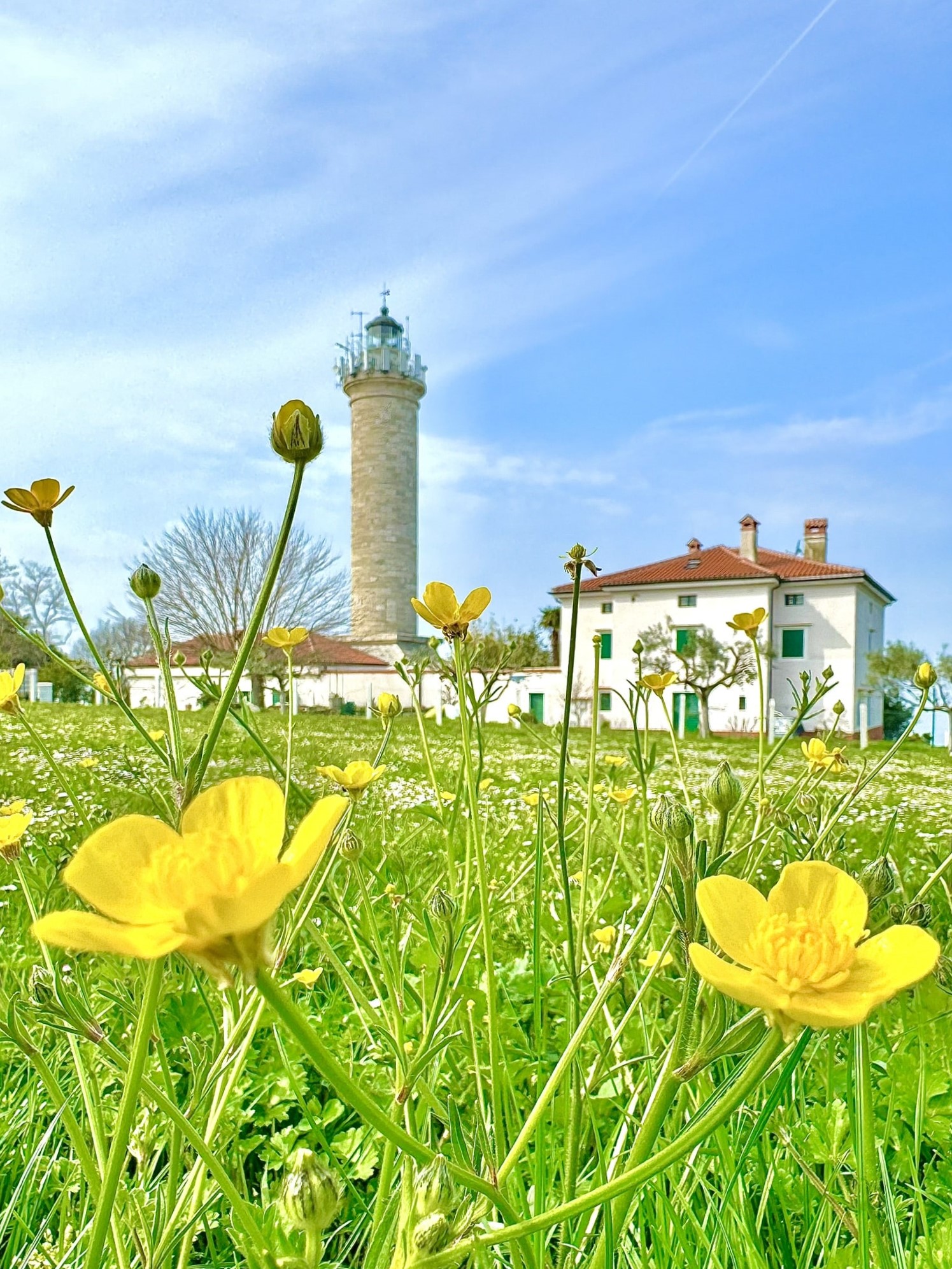 Melina Jurčić Melinadigital Foto