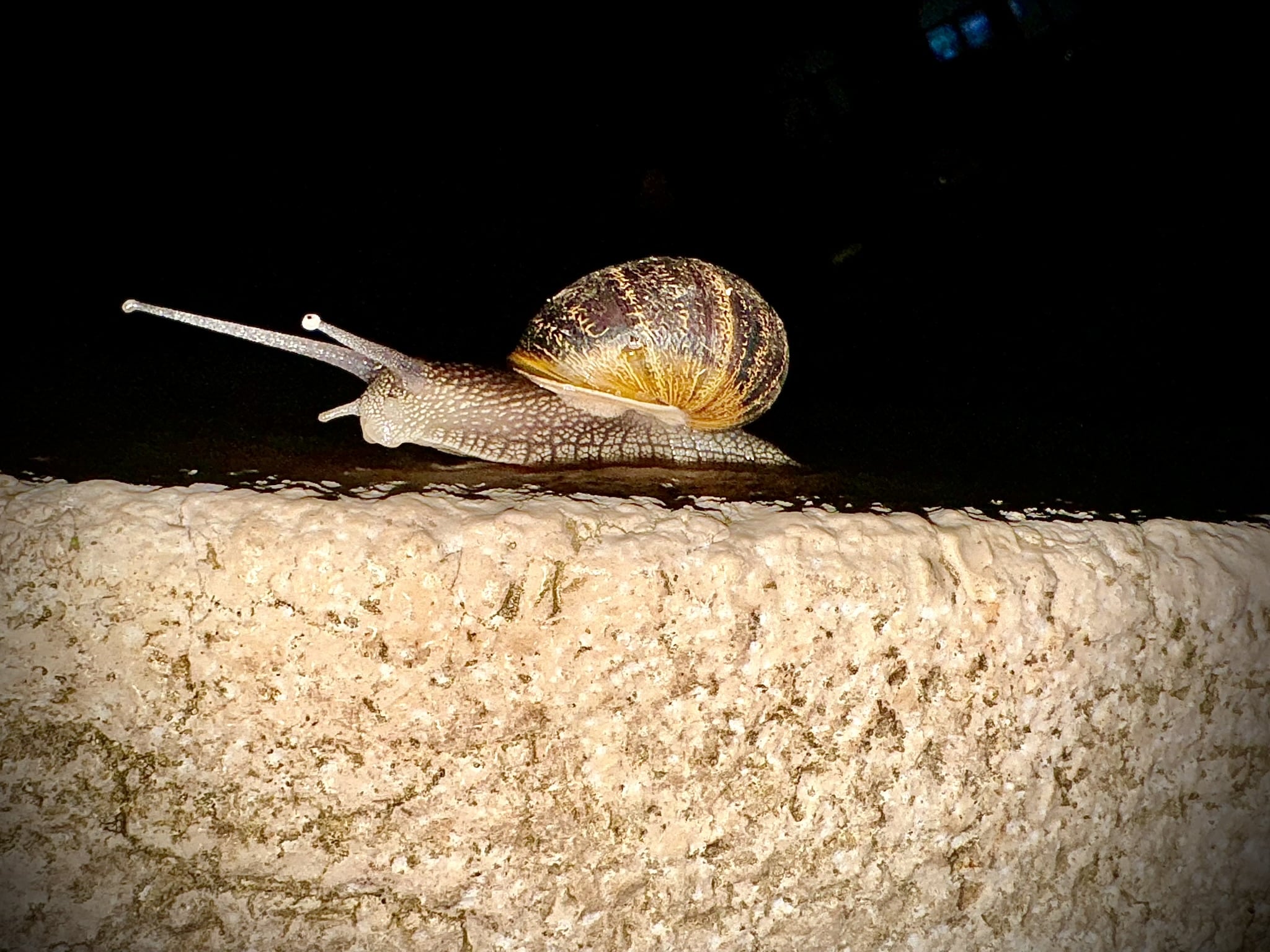 Melina Jurčić Melinadigital Foto