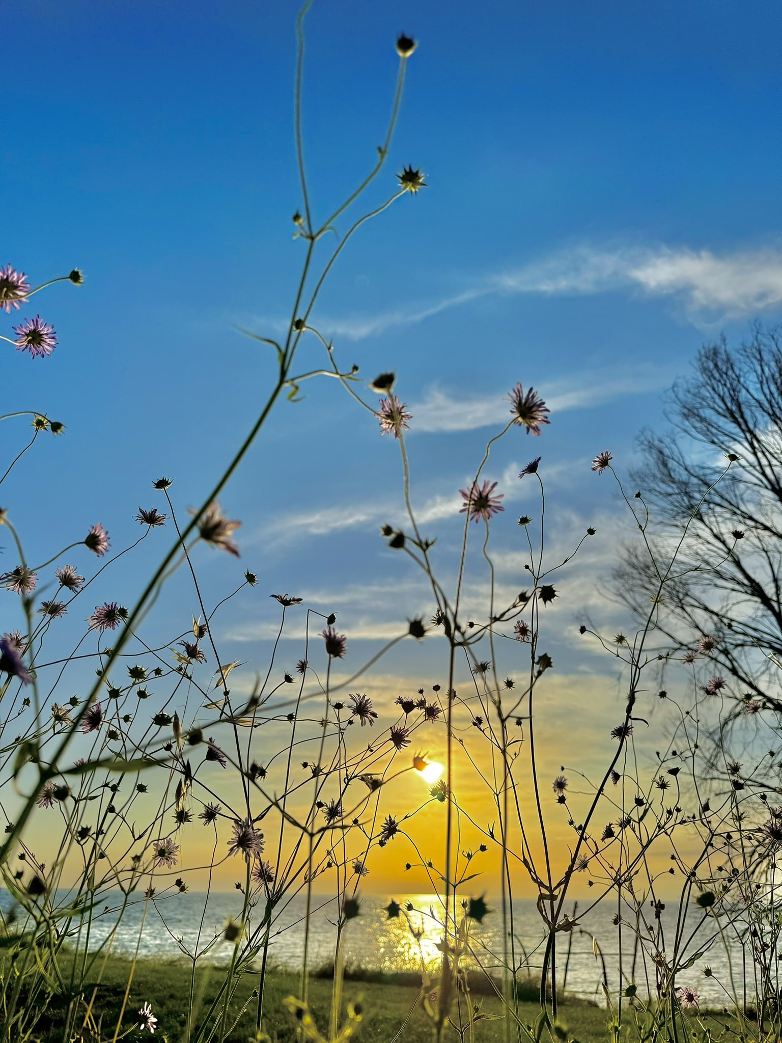 Melina Jurčić Melinadigital Foto
