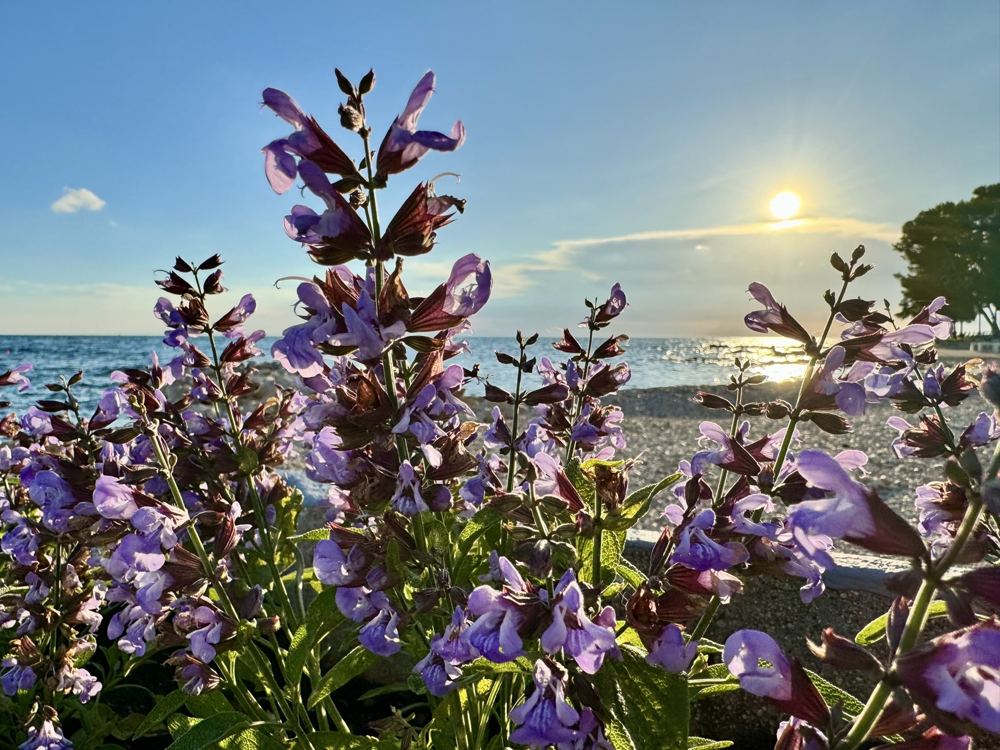 Melina Jurčić Melinadigital Foto