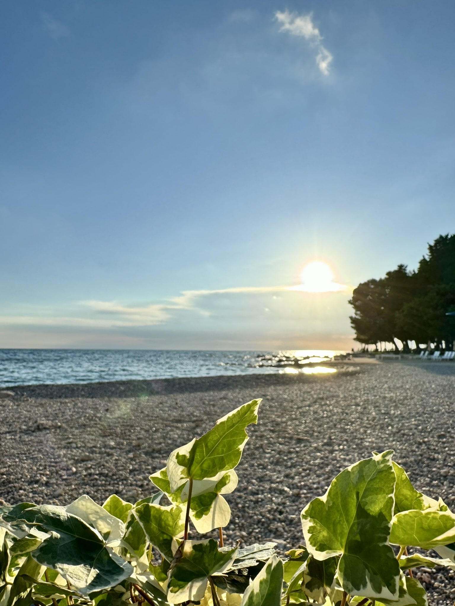 Melina Jurčić Melinadigital Foto