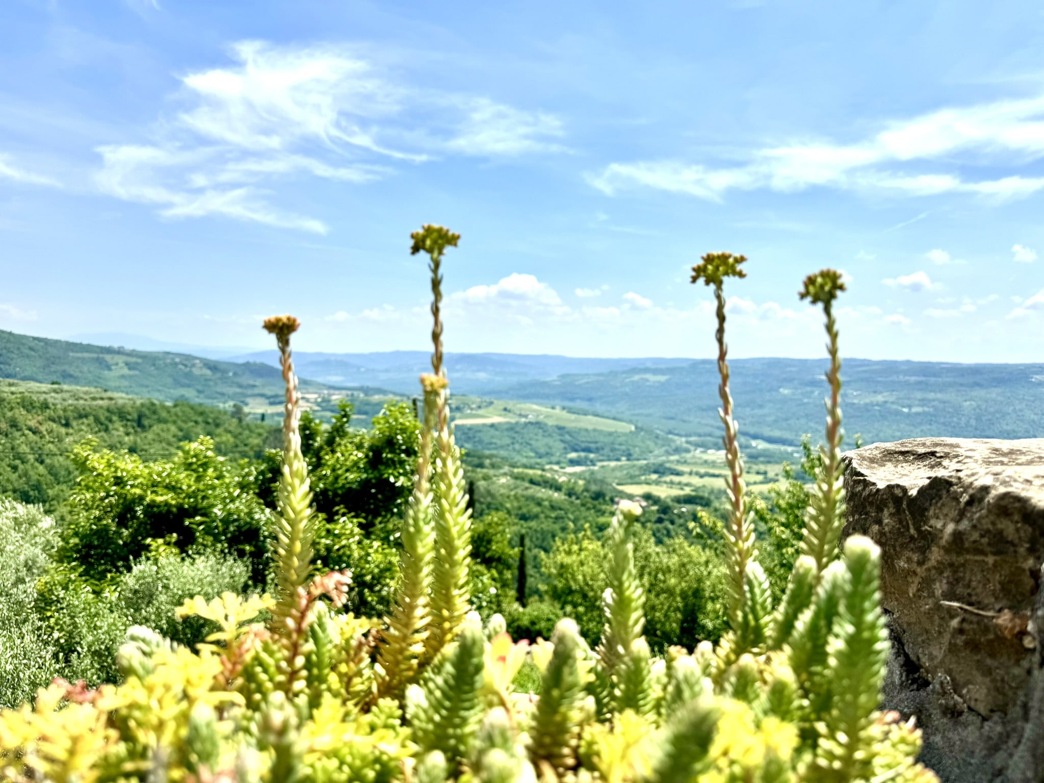 Melina Jurčić Melinadigital Foto