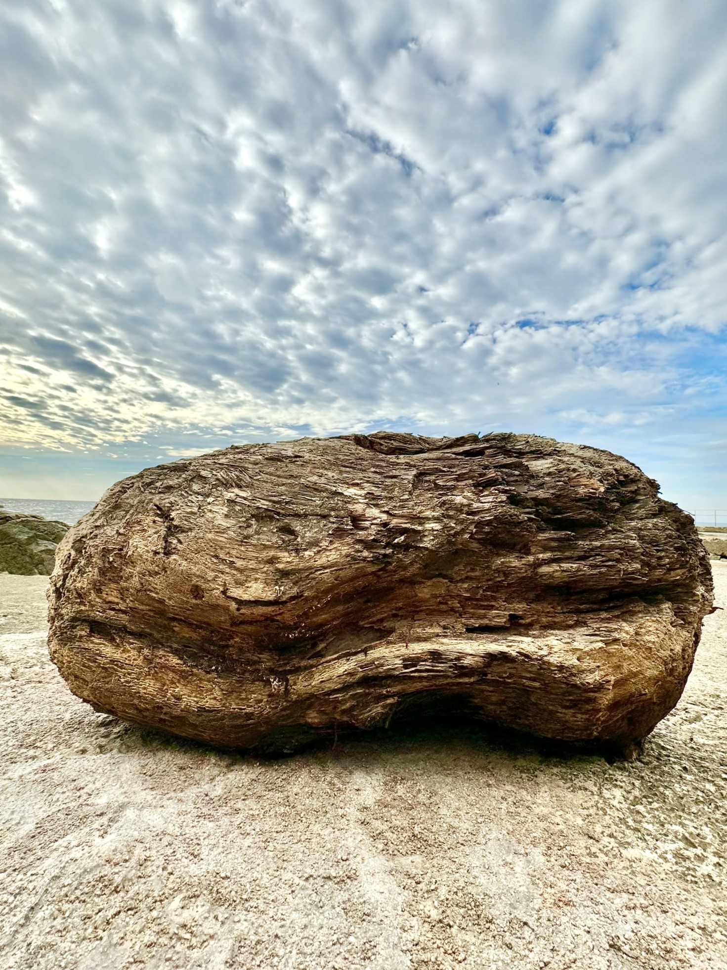 Melina Jurčić Melinadigital Foto