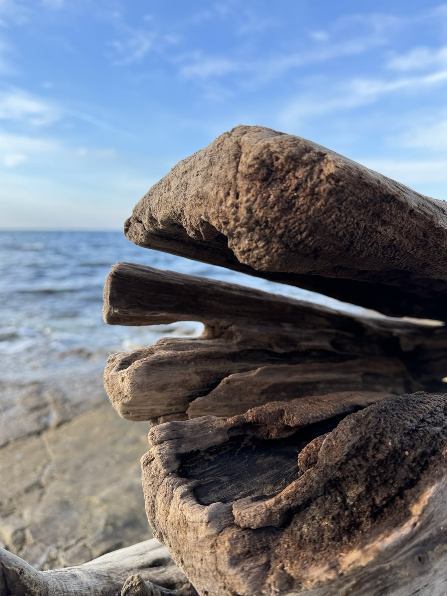 Melina Jurčić Melinadigital Foto