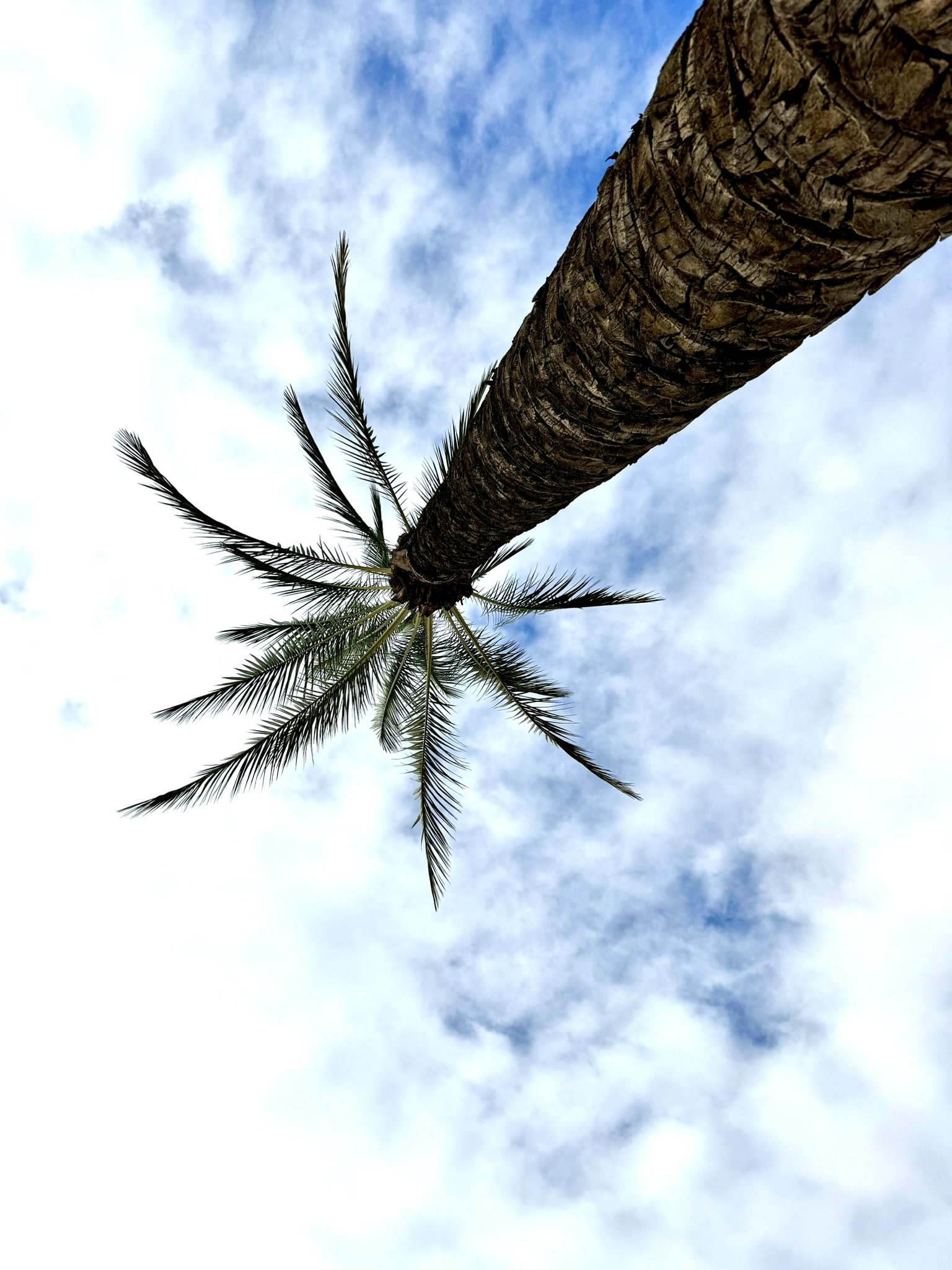 Melina Jurčić Melinadigital Foto